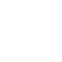 Big round icon 11