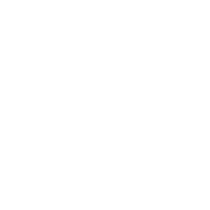 Big round icon 2