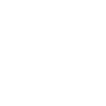 Big round icon 4
